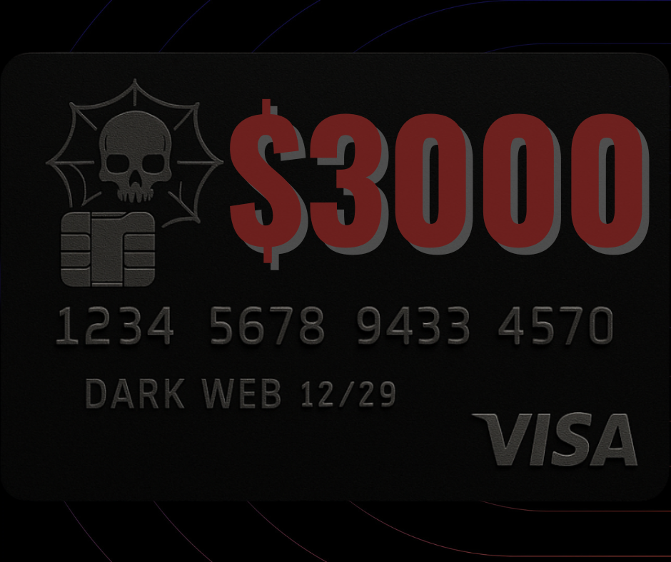 visa3000