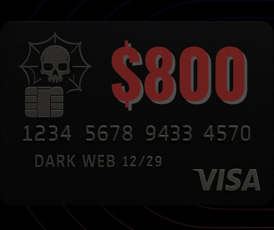 visa800