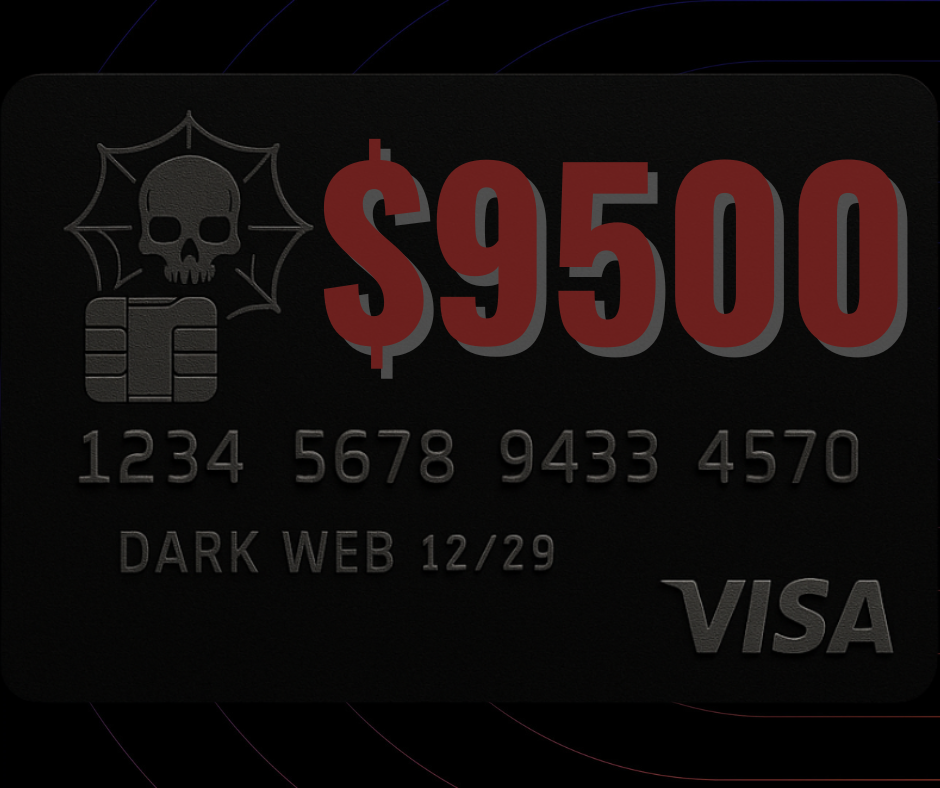 visa9500